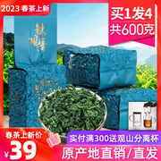 铁观音茶叶非特级浓香型，2023新茶秋茶，安溪乌龙茶散装袋装共600g