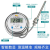 数显温度计带探头WST/DTM-491高精度电子工业防水数字水温表