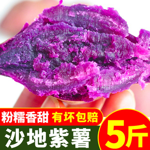 紫罗兰沙地紫薯新鲜农家山芋板栗，红薯蜜薯番薯地瓜减脂蔬菜10
