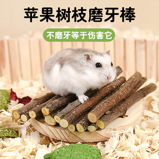 仓鼠零食磨牙棒苹果树枝苜蓿草造景金丝熊龙猫兔子磨牙用品甜竹