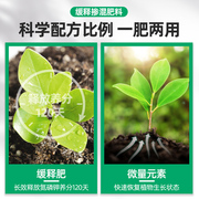 复合肥缓释肥颗粒通用型花肥料蔬菜用家用植物氮磷钾花卉多肉专用