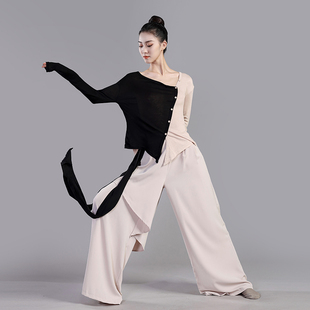 现代舞练功服高级感专业舞蹈服上衣女中国舞古典舞表演出服舞蹈裤