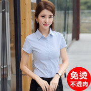 蓝白色竖条纹衬衫女短袖，职业2023夏季气质半袖工作服工装衬衣