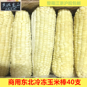 一箱东北甜玉米棒冷冻玉米棒商用14-16约40支箱非转基因玉米