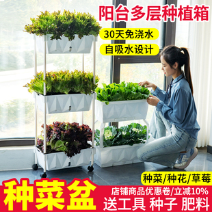 种菜盆阳台草莓多层立体菜架自吸水种植箱架子塑料花盆蔬菜置物架