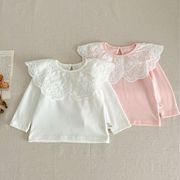 女童长袖t恤韩版棉质打底衫可爱婴幼儿翻领上衣纯色蕾丝娃娃领t恤