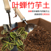 叶蝉竹芋土盆栽种植专用土酸性土椰糠泥炭土壤通用种植营养土花肥