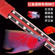 鱼缸增艳神灯红龙鱼专用灯增色灯鹦鹉鱼锦鲤潜水防水led红灯