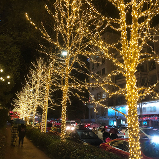 挂树上的彩灯闪灯串满天星装饰灯户外防水太阳能免布线夜景氛围灯