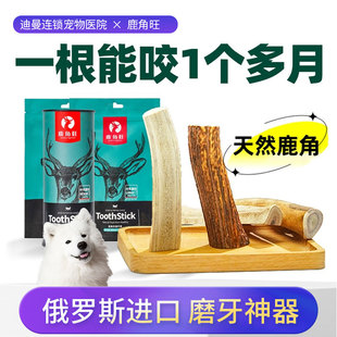 鹿角磨牙棒狗狗洁齿零食，中小型犬磨牙成幼犬泰迪柯基耐咬补钙骨头