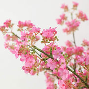 速发泰环仿真春色梨花枝单支假花，家居客厅花艺装饰轻奢餐桌绢花