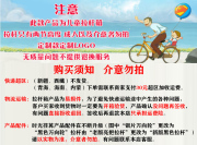 儿童拉杆箱18寸20寸纸壳人学生行李箱孩童，旅行箱可爱卡通小皮箱