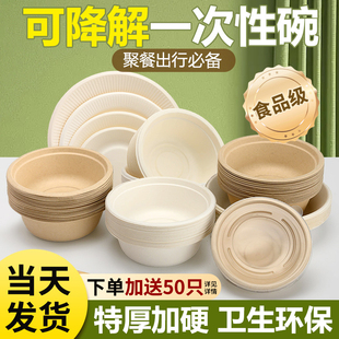 一次性碗餐具食品级家用盘可降解餐盒野餐盒环保碗筷套装纸碗饭碗