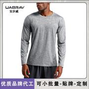 品牌户外运动速干t恤男款宽松健身篮球跑步运动长袖速干衣