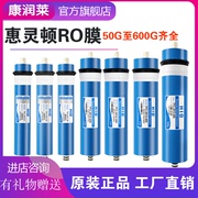 惠灵顿反渗透ro膜50g75g100g纯水机滤芯，商用净水器40030