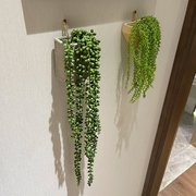 清新绿植花藤壁挂花艺墙壁，装饰花隔断玄关垂吊植物，吊篮假植物