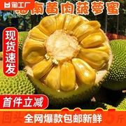 海南菠萝蜜一整个新鲜水果当季黄肉波罗蜜整箱特产40斤红尝鲜