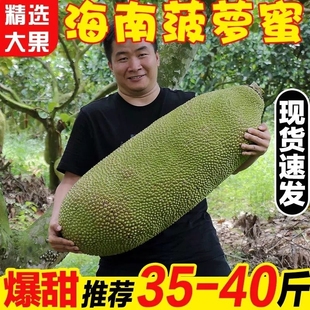 海南三亚黄肉菠萝蜜当季特产新鲜水果40斤一整个木波罗蜜红