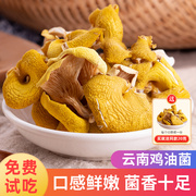 鸡油菌干货500g云南特产蘑菇新鲜干黄丝菌菌菇黄金菇榆黄菇煲汤料