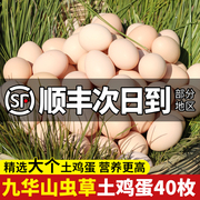 鸡蛋新鲜正宗农家散养土鸡蛋40枚无抗谷物草鸡蛋整箱笨柴鸡蛋