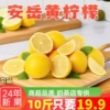 10斤四川安岳黄柠檬当季新鲜水果奶茶店专用皮薄一级商用整箱