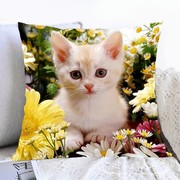 十字绣抱枕套可爱猫咪满绣卧室沙发靠垫diy手工制作品自己绣