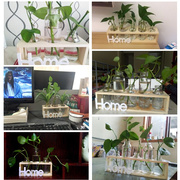 玻璃容器玻璃绿萝现代装饰长方形水培小花瓶家家桌面水养植物摆台