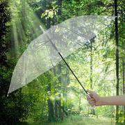 小清新透明雨伞，大量弯柄直杆透明伞，摄影道具广告伞印字