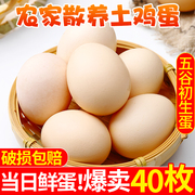 农家散养新鲜土鸡蛋正宗草鸡蛋40枚笨柴鸡蛋孕妇柴鸡蛋整箱禽鸡蛋