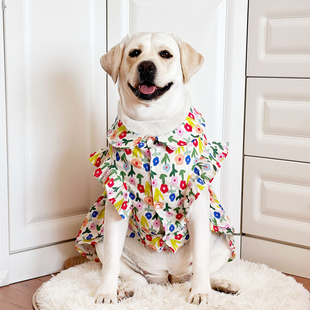 狗狗衣服大型犬夏季小清新裙子拉布拉多金毛衣服大狗薄款可爱衣服