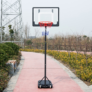 篮球架儿童可升降户外成人，标准篮框小孩，投篮框青少年家用移动篮筐