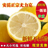 新鲜黄柠檬一级果净重5斤四川安岳水果不打蜡非香水柠檬尤力克