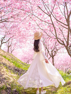 理想三旬女装复古蕾丝拼接度假风喇叭袖米白色大裙摆连衣裙长