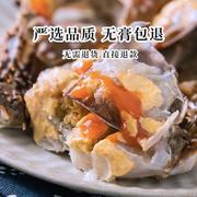 红膏呛蟹宁波特产海鲜生腌舟山梭子蟹咸蟹醉蟹母蟹炝蟹即食整