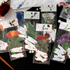 糖诗植物与诗系列大贴纸包pet文艺，复古玫瑰手帐素材花朵个性透明