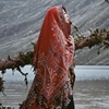 茶卡盐湖旅游拍照草原沙漠防晒丝巾海边复古大红色，围巾披肩百搭潮