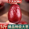 新疆特产红枣五星和田大枣子500g一等大枣干吃零食