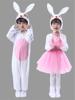 六一儿童小兔子演出服，小白兔子动物表演服装幼儿园，舞台舞蹈纱裙