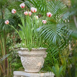 浮雕创意花盆欧式落地户外花园庭院郁金香造景家用客厅阳台盆器