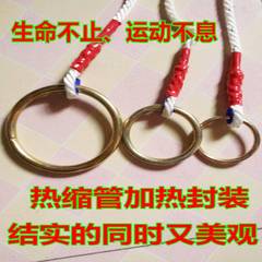 吊环吊绳体能训练绳健身房家用运动吊环引体向上体操环 带绳