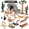 仿真沙漠动物模型刺尾岩蜥玩具骆驼鸟蜥蜴蛇蝎子仙人掌场景摆件