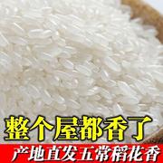 东北正宗五常稻花香大米10斤20斤长粒香米农家自产21年新米蟹田