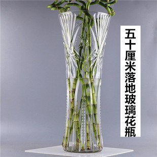 特大号花瓶玻璃透明大口径高50cm插花大号客厅摆件水培富贵竹落地