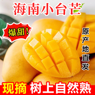 正宗海南小台农芒果甜新鲜应当季热带水果鸡蛋芒特产整箱10斤