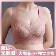 美背蕾丝内衣女蕾丝无钢圈固定一体式聚拢侧收副乳无痕背心式文胸