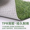 仿真草坪室内地毯脚垫人工人造草皮，塑料假草垫装饰环保白胶底tpr