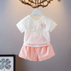 女宝宝两件套装夏季韩版薄款小女孩洋气短袖短裤棉布女童套装
