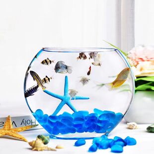 创意扁口玻璃鱼缸椭圆形高白透明玻璃金鱼缸(金鱼缸)迷你水族箱小型桌面