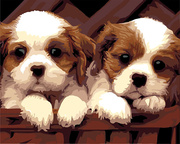 DIY数字油画直供 动物 客厅装饰手绘 可爱朋友30*40两只小狗