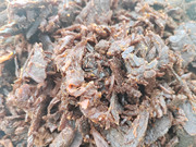 温州特产湖岭牛肉干手撕桶装罐装黑牛肉干片